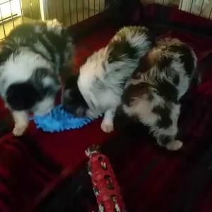 Meet your Posher, Melissa